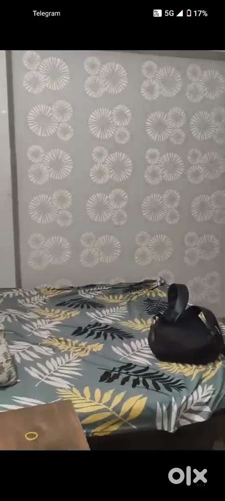 Roommate With 3.5k Rent