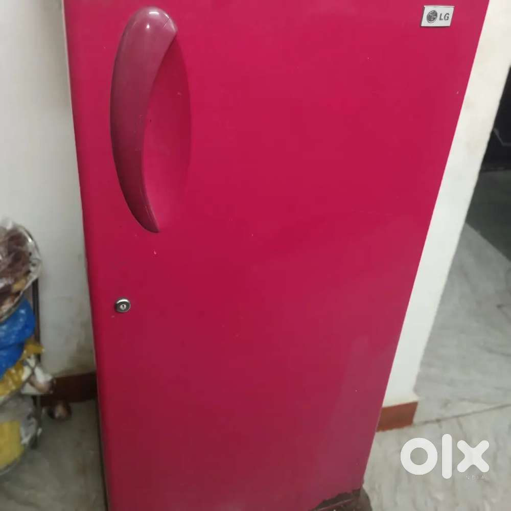 219 lg refrigerator