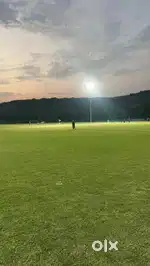 Cricket Ground Manager