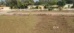 IN PONNUR 36 CENTS LAND AVAILABLE FOR SALE PER CENT COST 3,25000/-