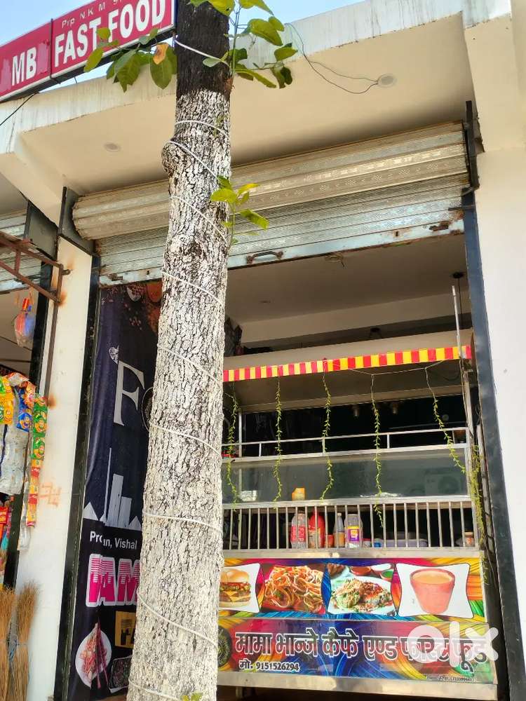 Steel Cart and Chair, Table
