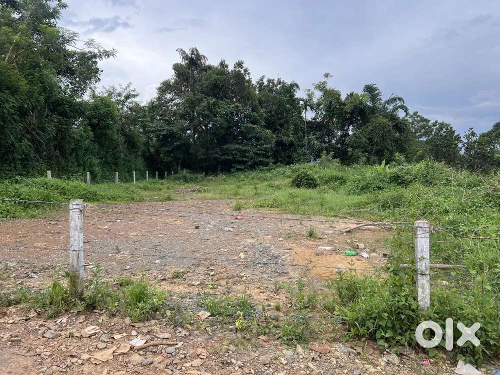 17 CENT BUILDING SITE FOR SALE IN MANANTHAVADY TOWN