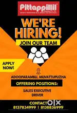 Sales Executive & Driver