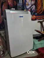 Blue Star 1 Ton Portable with Multi Sensors AC