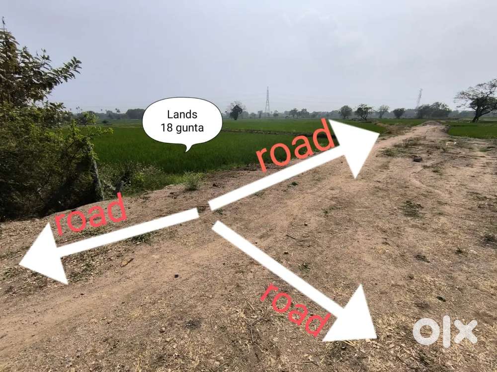 Agriculture land for sale