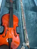 New violin