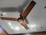 Orient Ceiling fan working - 48 inches