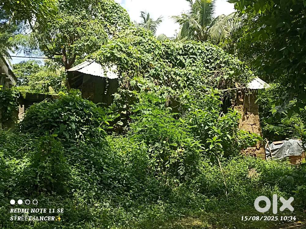 1.81 katha jaiga ache