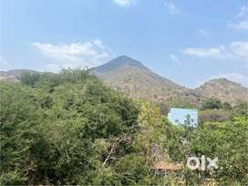 Brand new extra large Studio apartment with full kitchen and bathroom