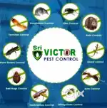 Pest control services