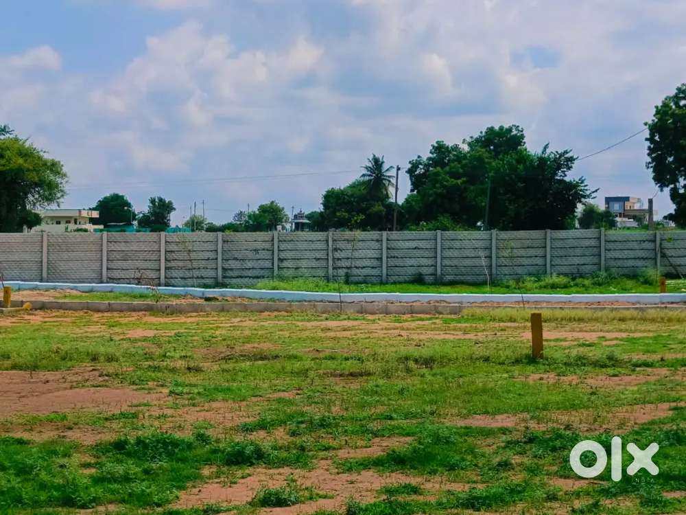 Open Plots for sale Near Shamshabad