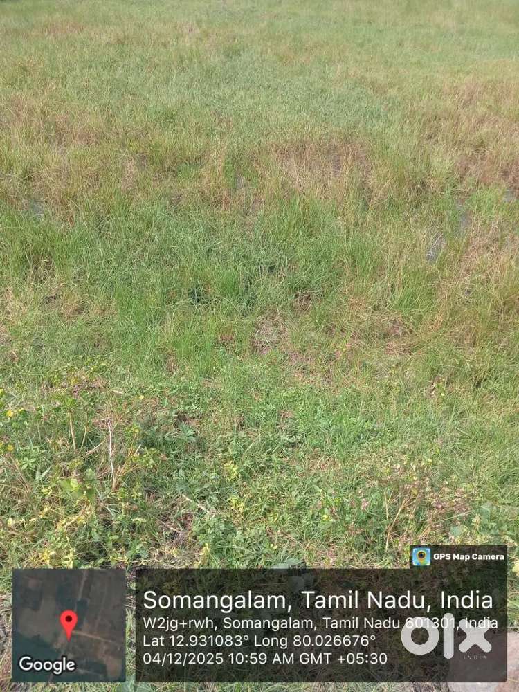 Somangalam to chethpet ON road