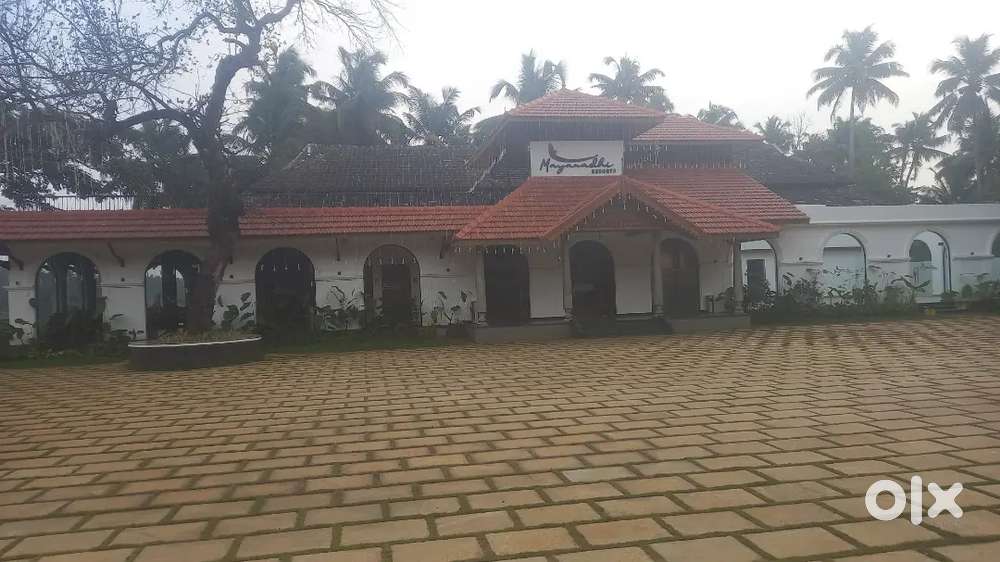 kitchen helper, south indian chef, continental chef, tandoor chef