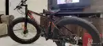 Waltx dune 1, European fat tyre cycle