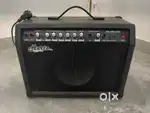 Hertz Amplifier (40 Watt)