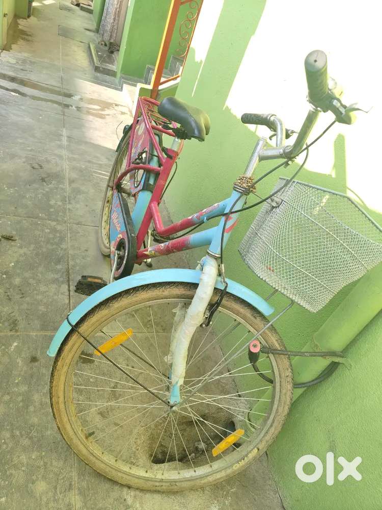 This is Alpha Melodic lady cycle