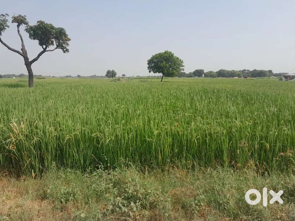 Fullpur varanasi Novodey vidhayal