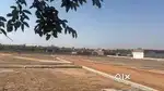 हमारी साइड में सभी साइज के प्लांट उपलब्ध हैं