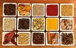 Female Business Partners Required. Sales and Marketing. Spices.