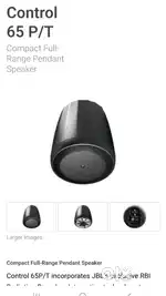 JBL control 65 P/T Pendant Speaker