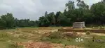 Plot in Nuagaon Niali Sai hospital road