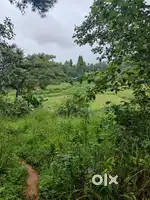 Land for sale at mylliem