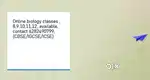 Online classes in biology