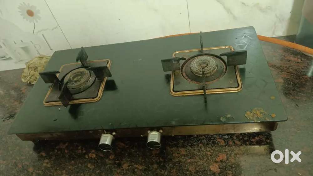 Gas stove chulha