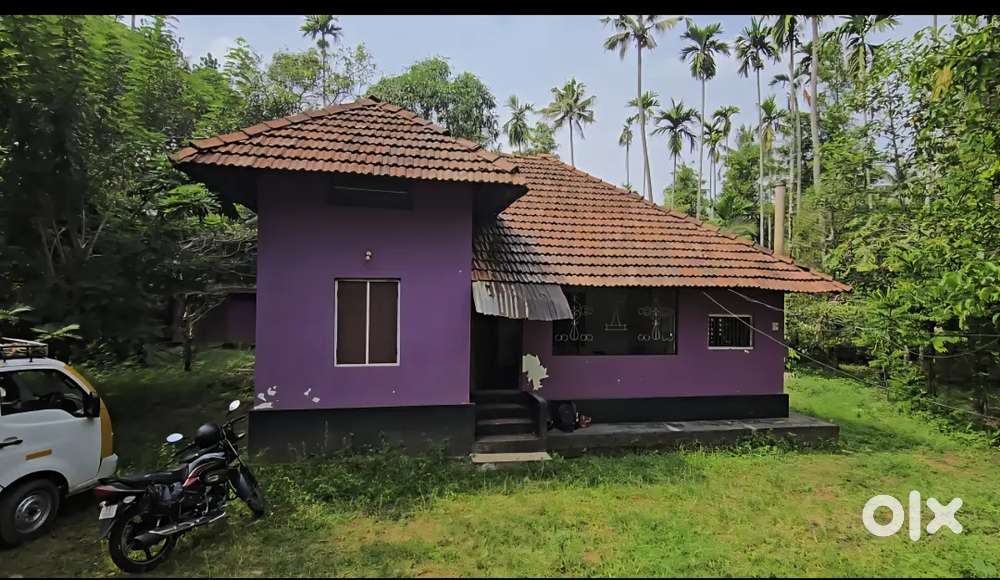 Chalakkudy murigoor annanadu 1 acre 8 cent old house for sale