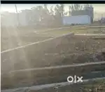 50 gaj plot