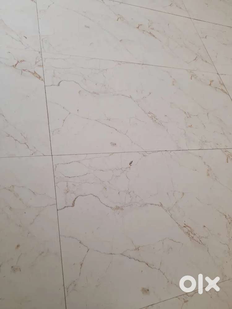 Room mate required female only