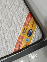 1.5 month old Century Mattress