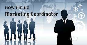 Marketing coordinator / Physical Trainer