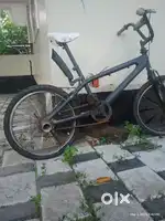Best stunting cycle