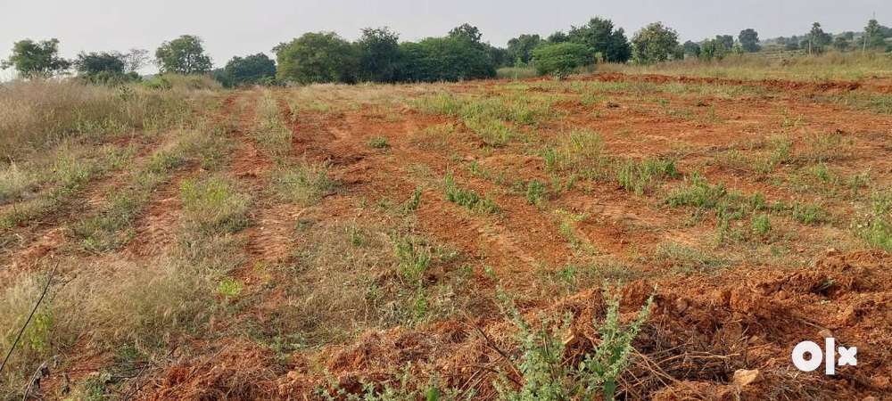 2Acres agri land for sale,27lakh per Acre,Near Siddipet,1km to BT Road