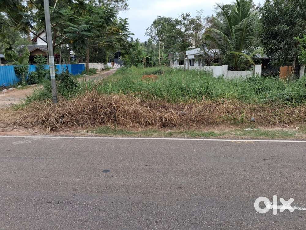 12 Cent Land For Sale