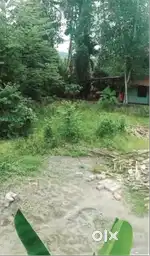 8 Cents plot for sale in Kaninad