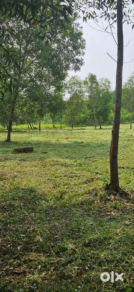 1 acre Level Land at  Pariyaram NH 2 km