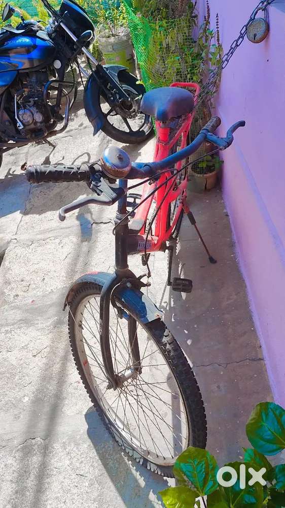 New cycle, and very good condition