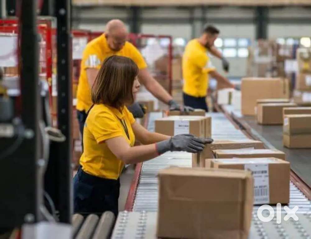 Urgent need hiring male and female candidate