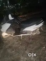 Suzuki Burgman