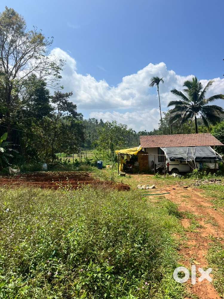 Wayanad mananthavady 10 acre agricultural land with 50 cent dry land