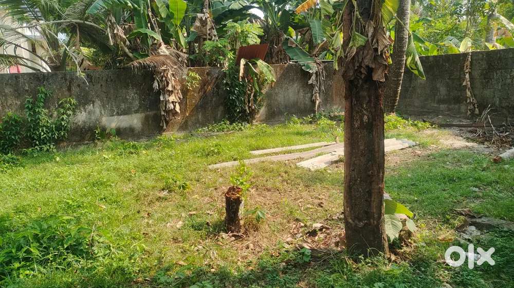 6 Cent Residential Plot for Sale