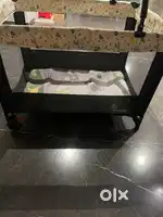 Play pen / crib for babies till 2 yrs from R FOR RABBIT