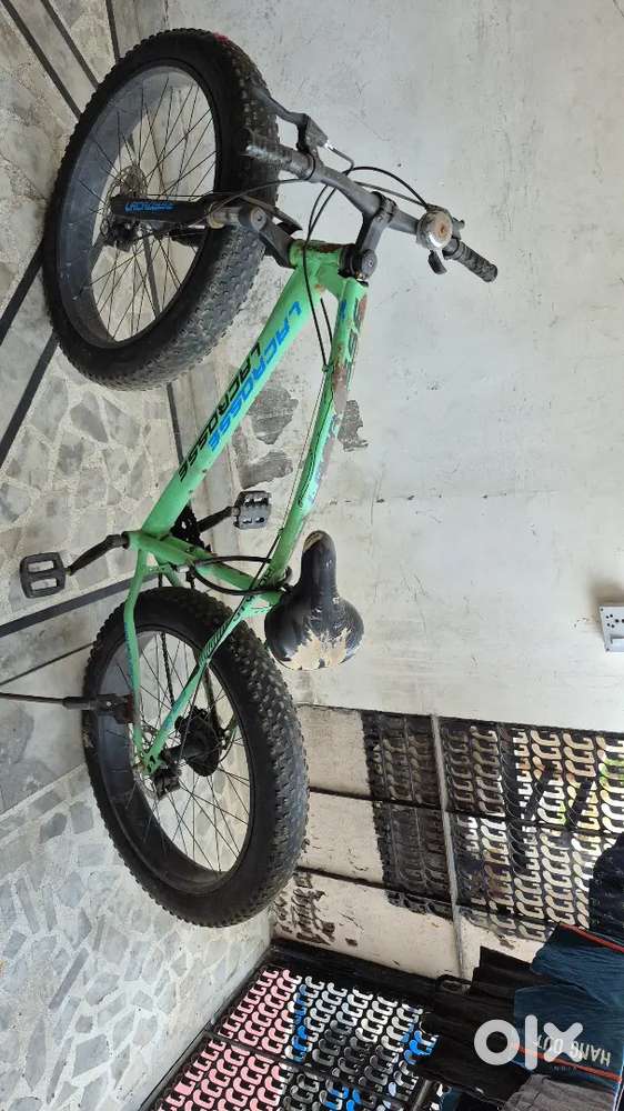 A cycle with monster tyre