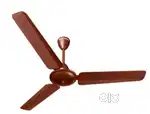 Fan  chhat money problem