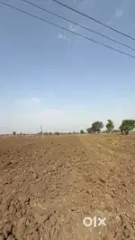 Farm 7 acear full arecation bor