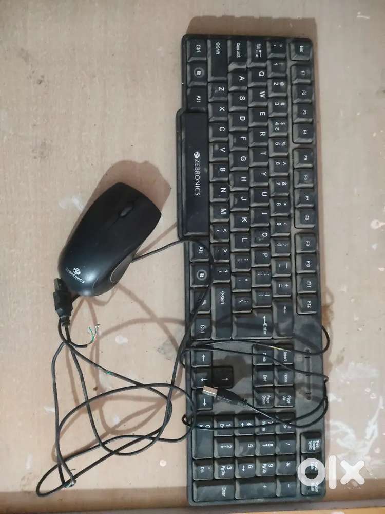 Zebronics wired keyboard and mouse