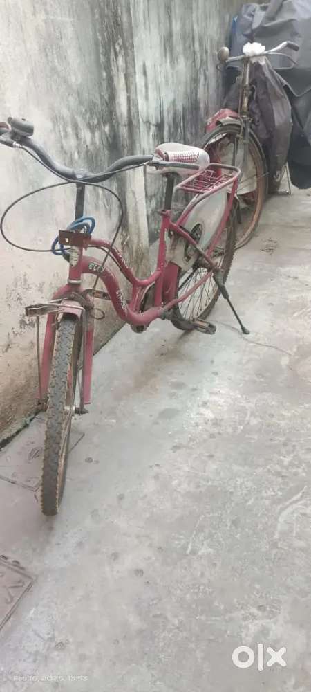 Lady Bird bicycle 1 and big flat tyres bicycle 1