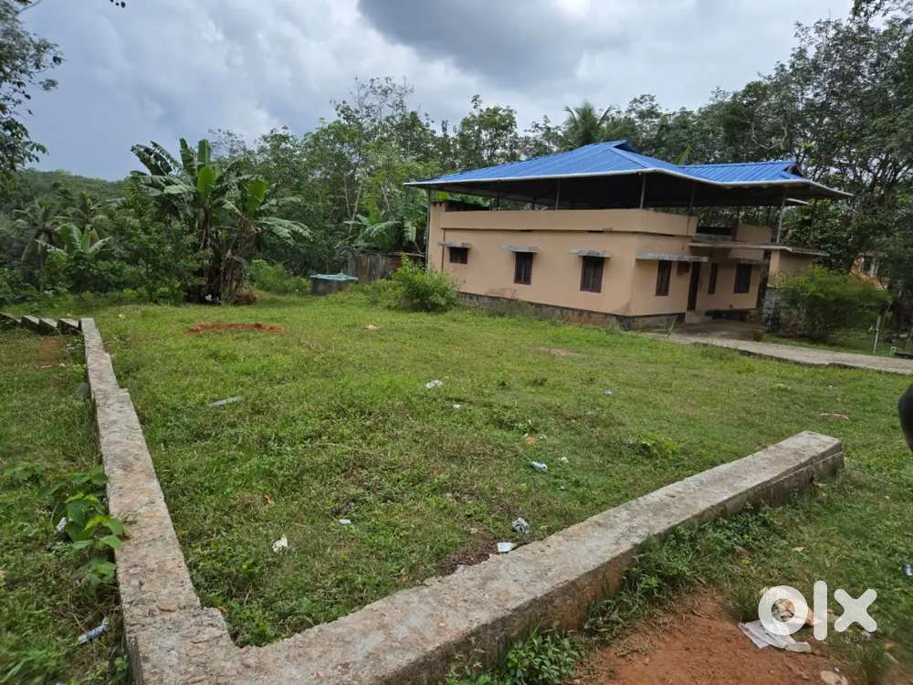 16 cent land for sale near alamcode